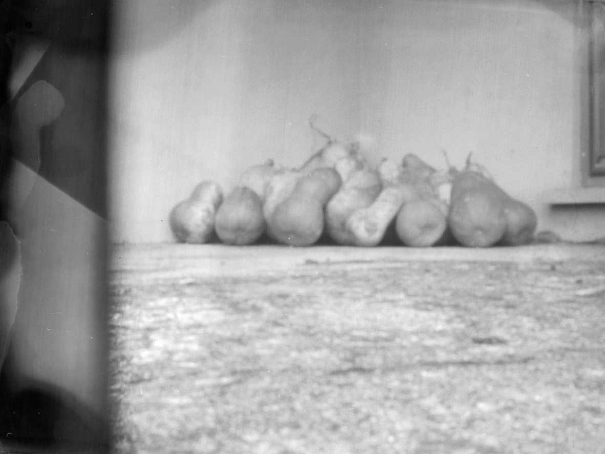 Pumpkins