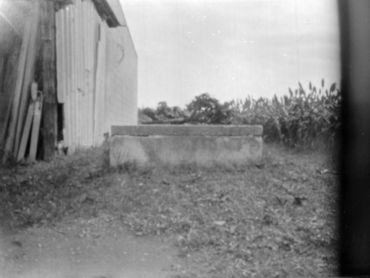 Field