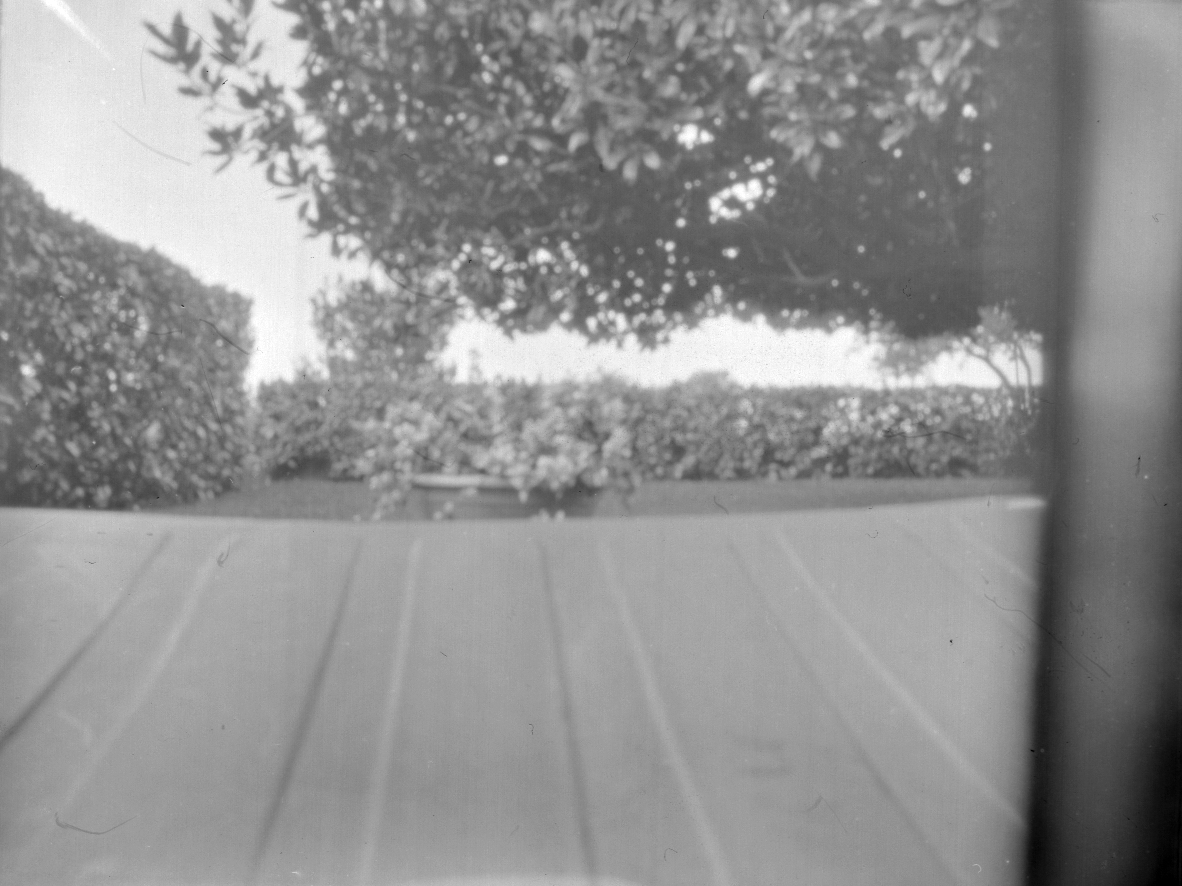 Garden / View from the chair