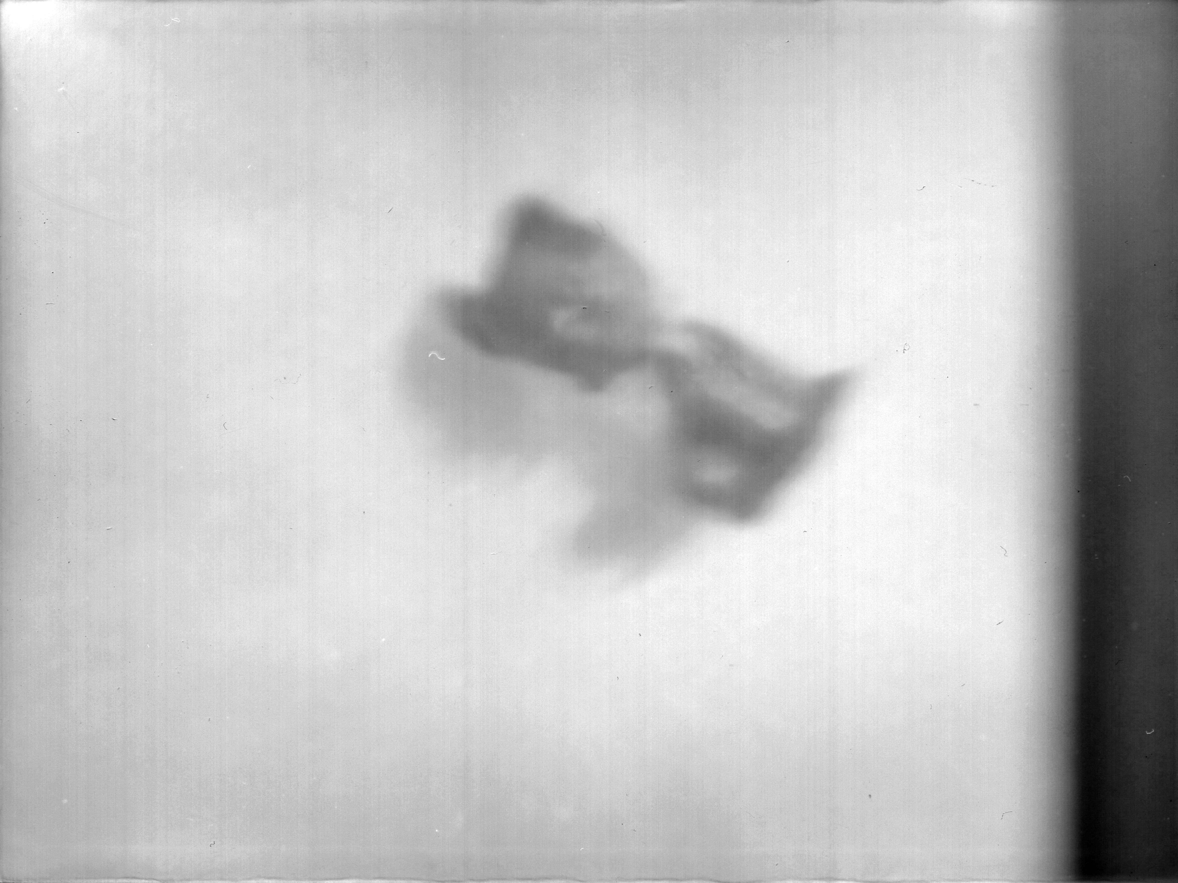 Toy / I