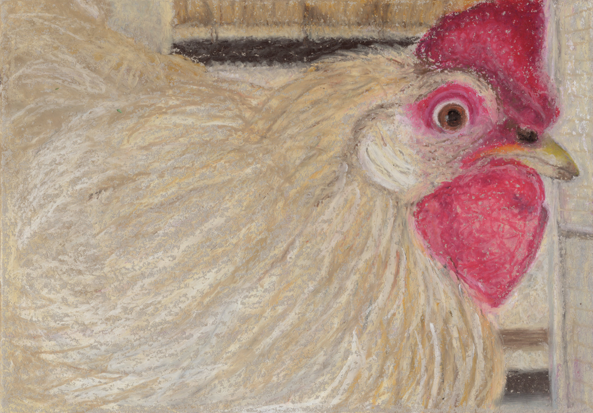 Hen