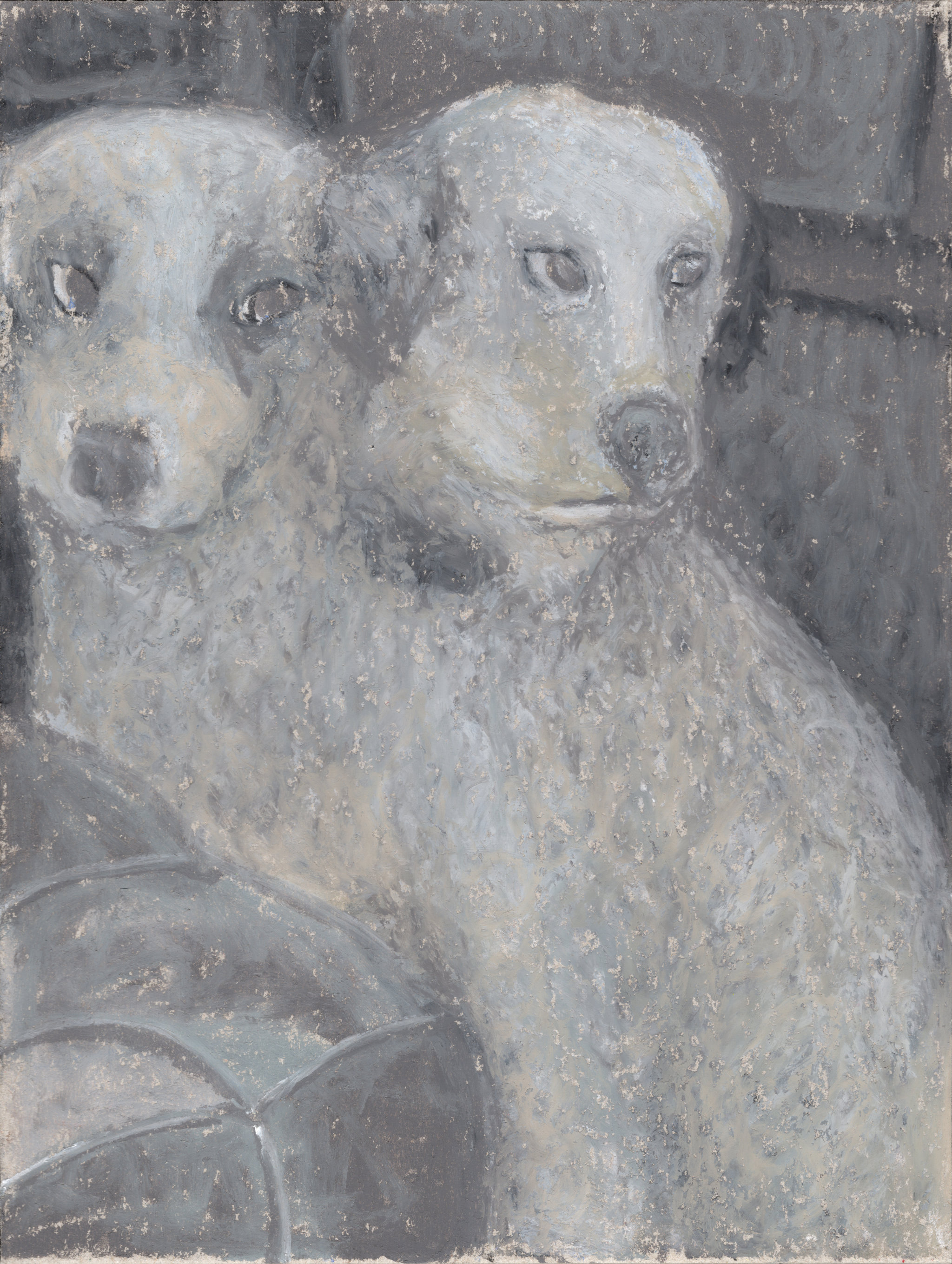 Dog with two heads