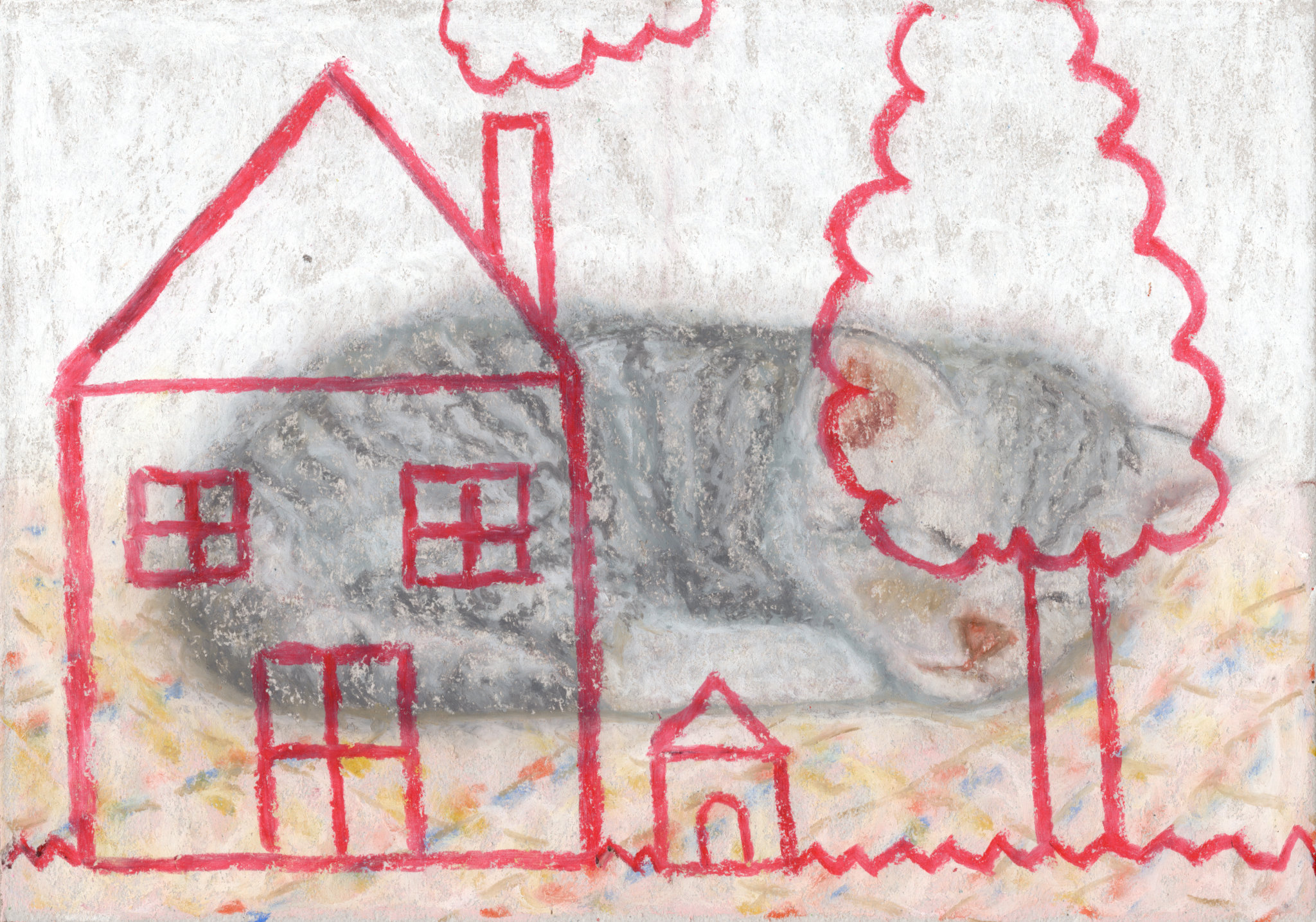 Cat sleeping / Home