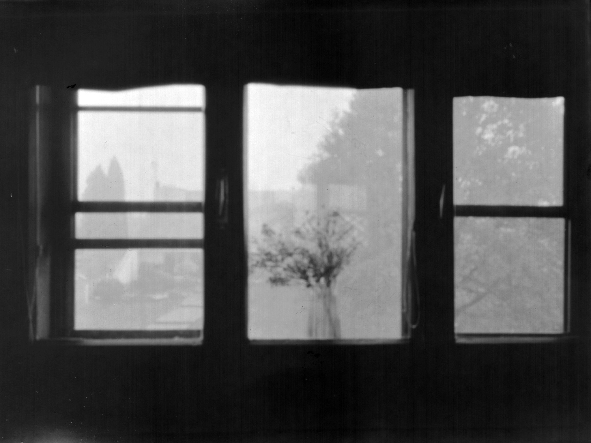 Window / North